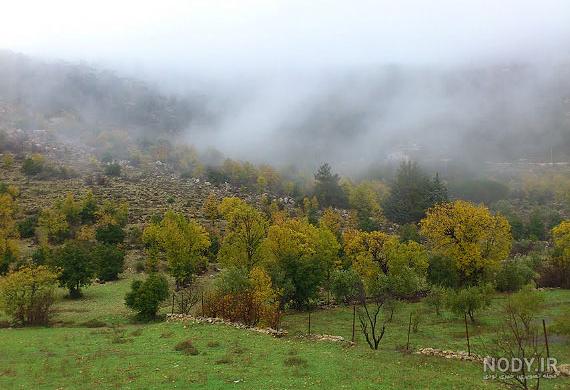 عکس طبیعت جنوب