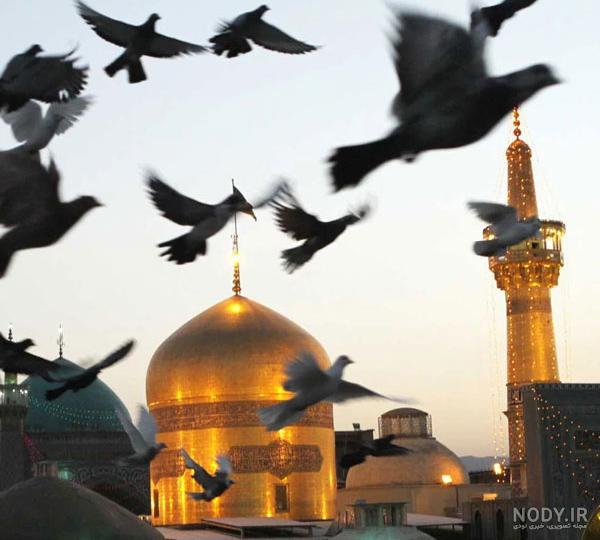 عکس چادری حرم امام رضا