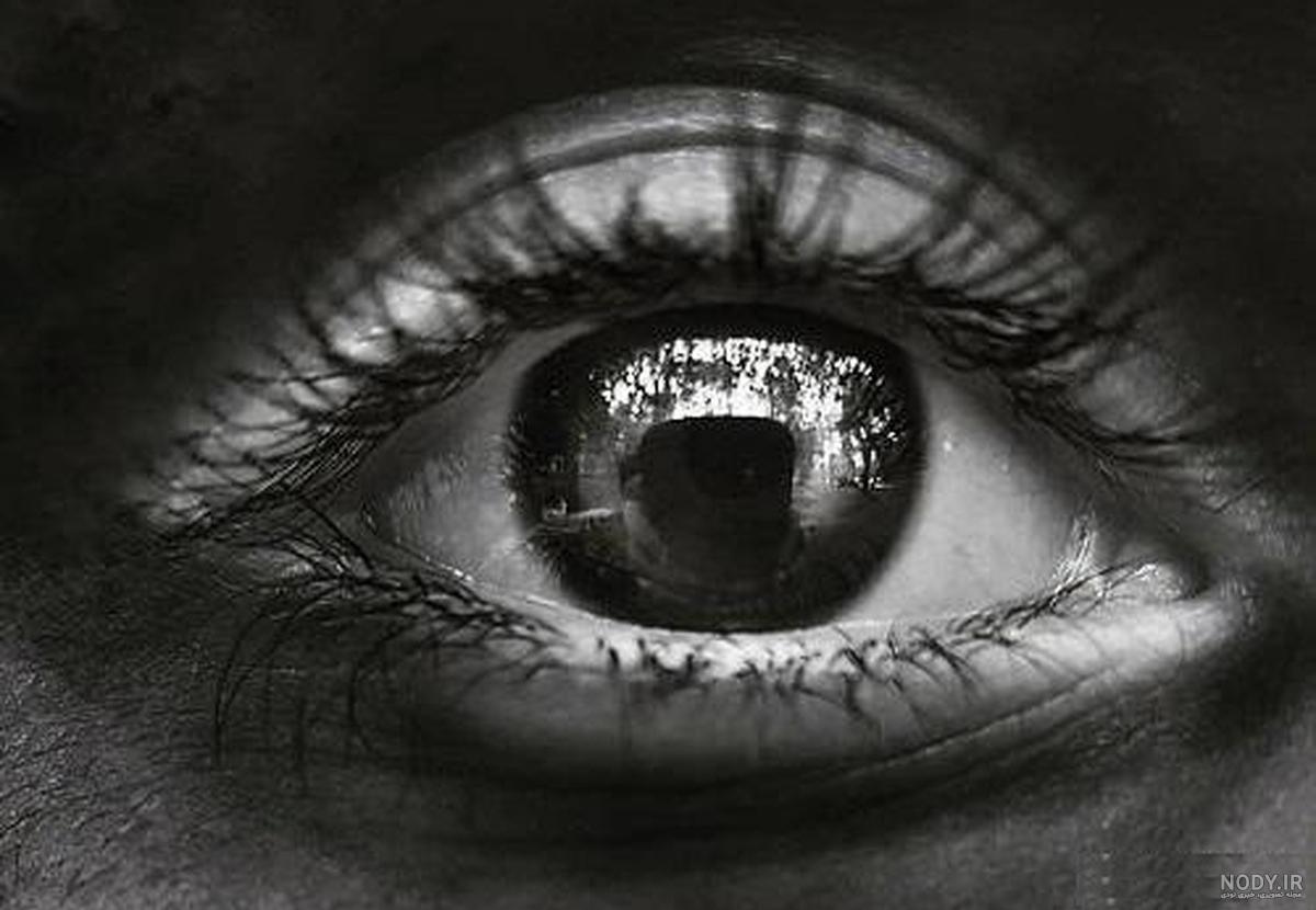 عکس چشم خاکستری - عکس نودی عکس چشم خاکستری - عکس نودی
