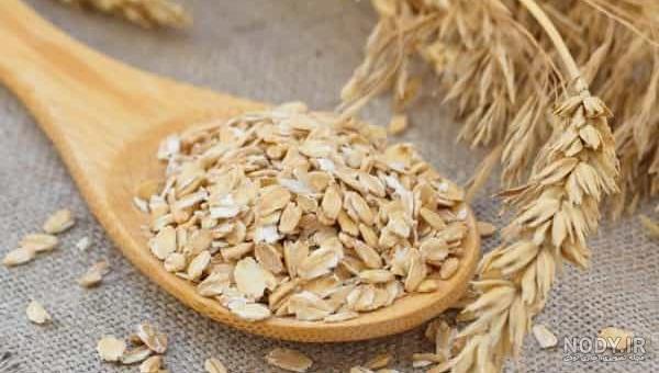 عکس گیاه جو دوسر - عکس نودی عکس گیاه جو دوسر - عکس نودی