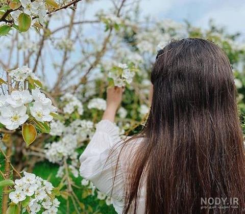 عکسهای بهاری زیبا برای پروفایل عکسهای بهاری زیبا برای پروفایل