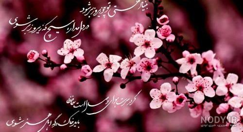 عکسهای زیبای فصل بهار عکسهای زیبای فصل بهار
