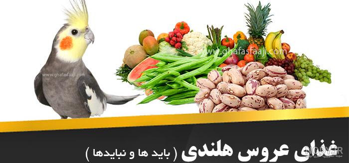 غذای عروس هلندی - عروس هلندی غذای عروس هلندی - عروس هلندی