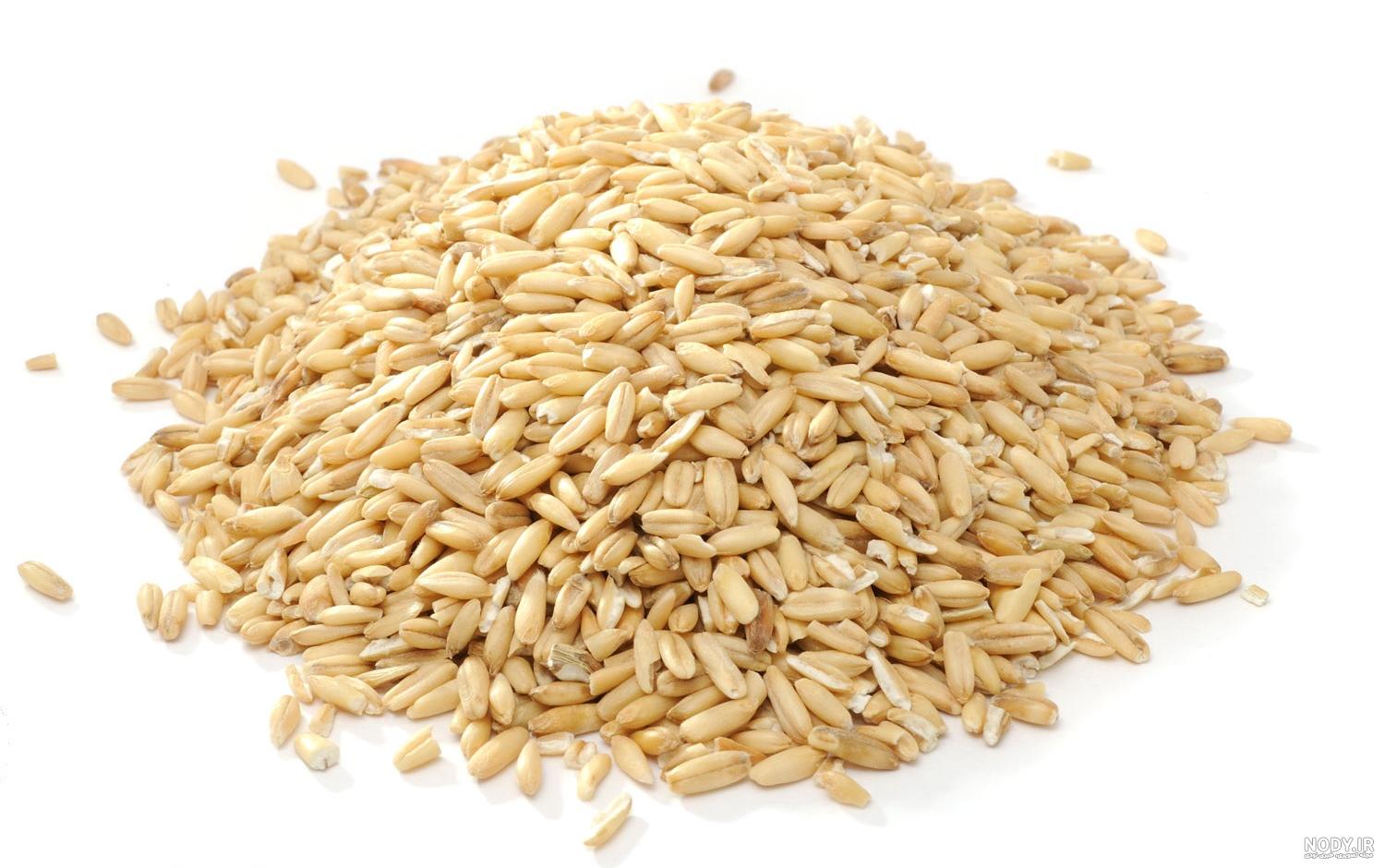 قیمت و خرید جو دوسر پرک خوشه چین - 700 گرم قیمت و خرید جو دوسر پرک خوشه چین - 700 گرم