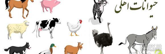 نقاشی حیوانات : 60 نقاشی ساده با موضوع حیوانات برای کودکان