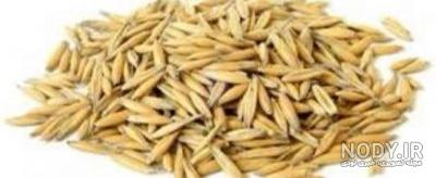 همه چیز در مورد جو دوسر پرک همه چیز در مورد جو دوسر پرک
