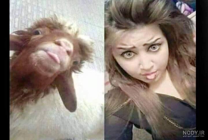 عکس خفن عکس زن خنده دار زشت