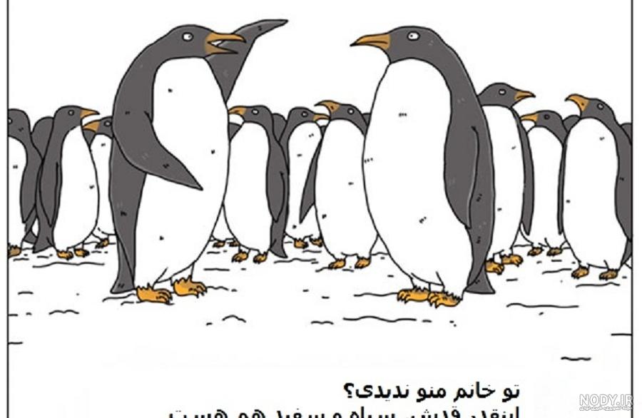 طنز عکس خنده دار حیوانات با متن