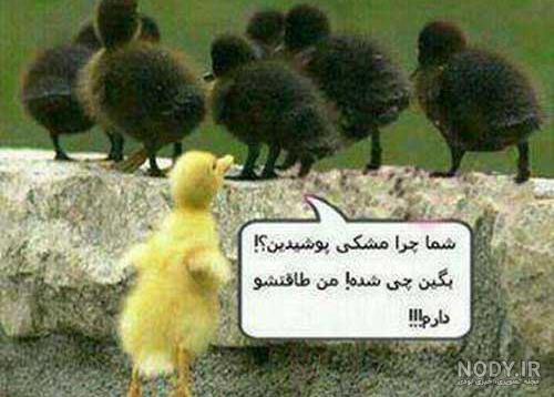 عکس های دیدنی و جالب عکس های دیدنی و جالب