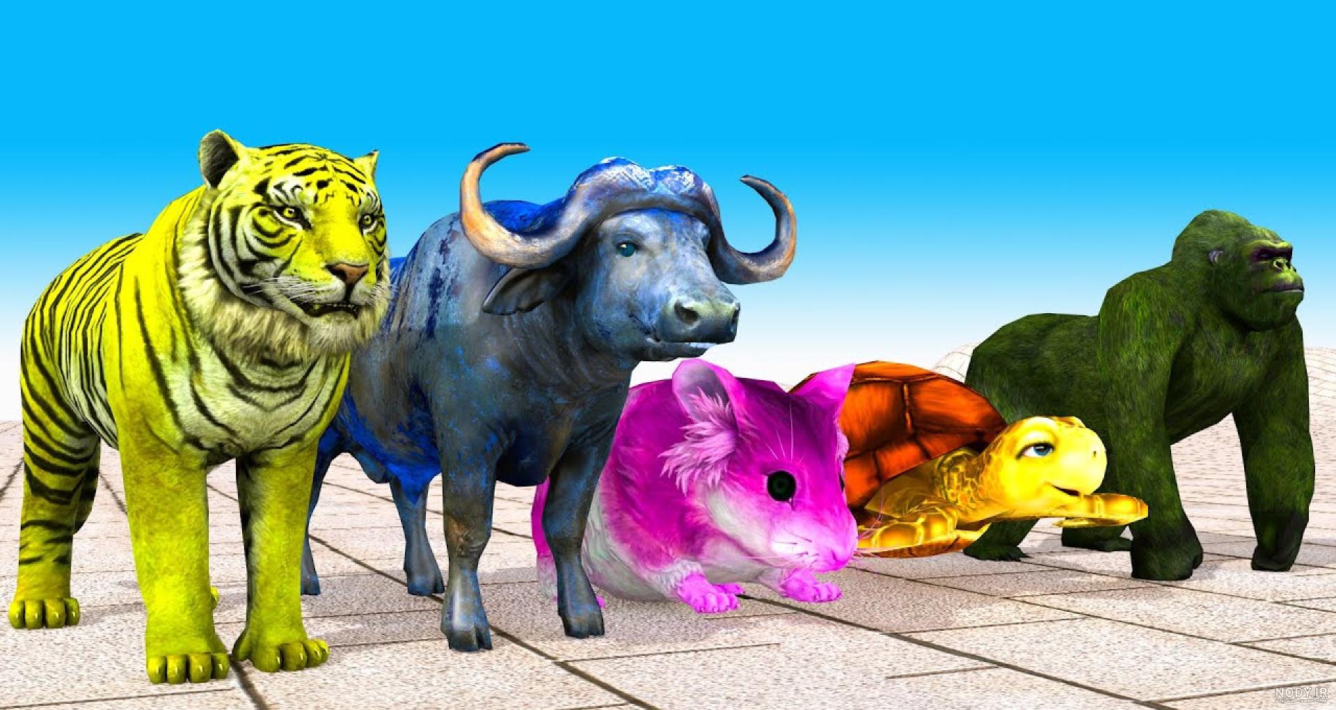 عکس حیوانات اهلی برای کودکان