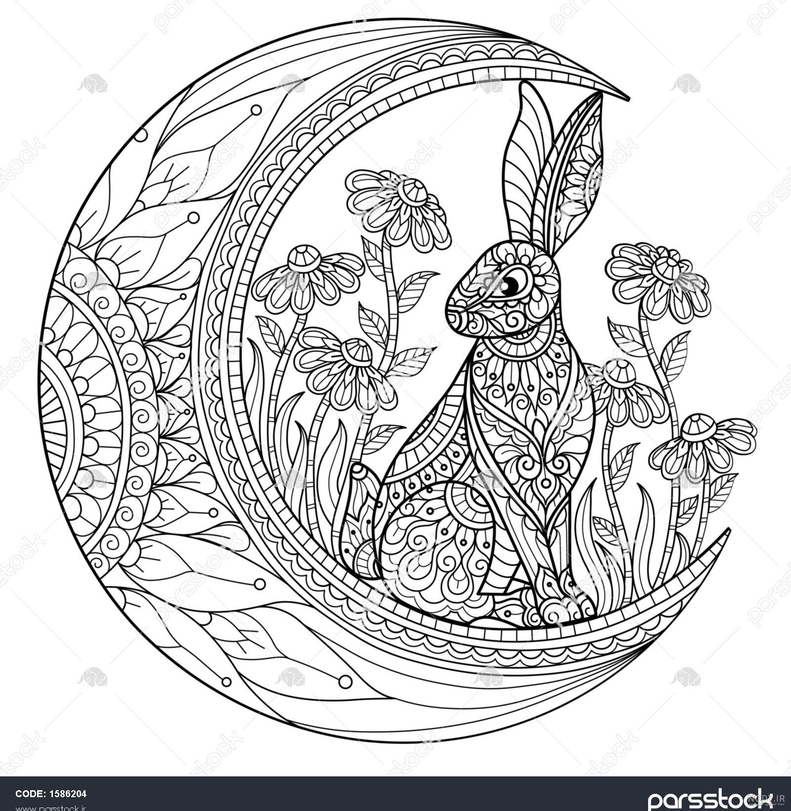 45+ آموزش نقاشی خرگوش گوگولی به کودکان+ تصویر 🐰 45+ آموزش نقاشی خرگوش گوگولی به کودکان+ تصویر 🐰