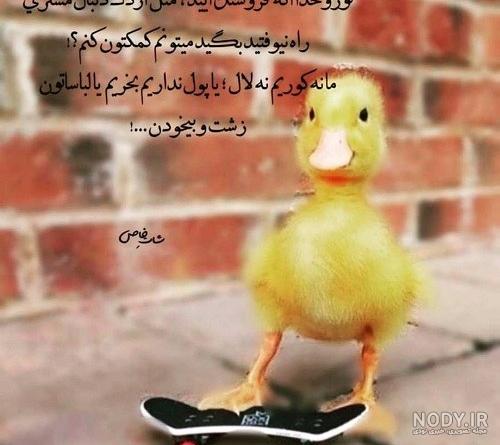 اسم های خنده دار کاربر ها 😐🤲🏻 - تستچی اسم های خنده دار کاربر ها 😐🤲🏻 - تستچی