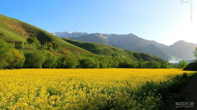 بیش از 30 عکس بهار با کیفیت بالا و ادیت حرفه‌ای | لست‌سکند