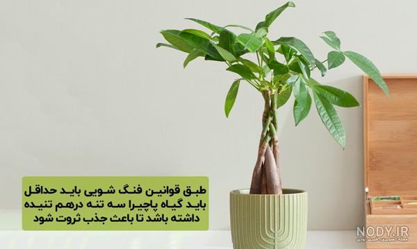 تابلو درخت پول 269-2 | تابلو فنگ شویی 269-2 تابلو درخت پول 269-2 | تابلو فنگ شویی 269-2