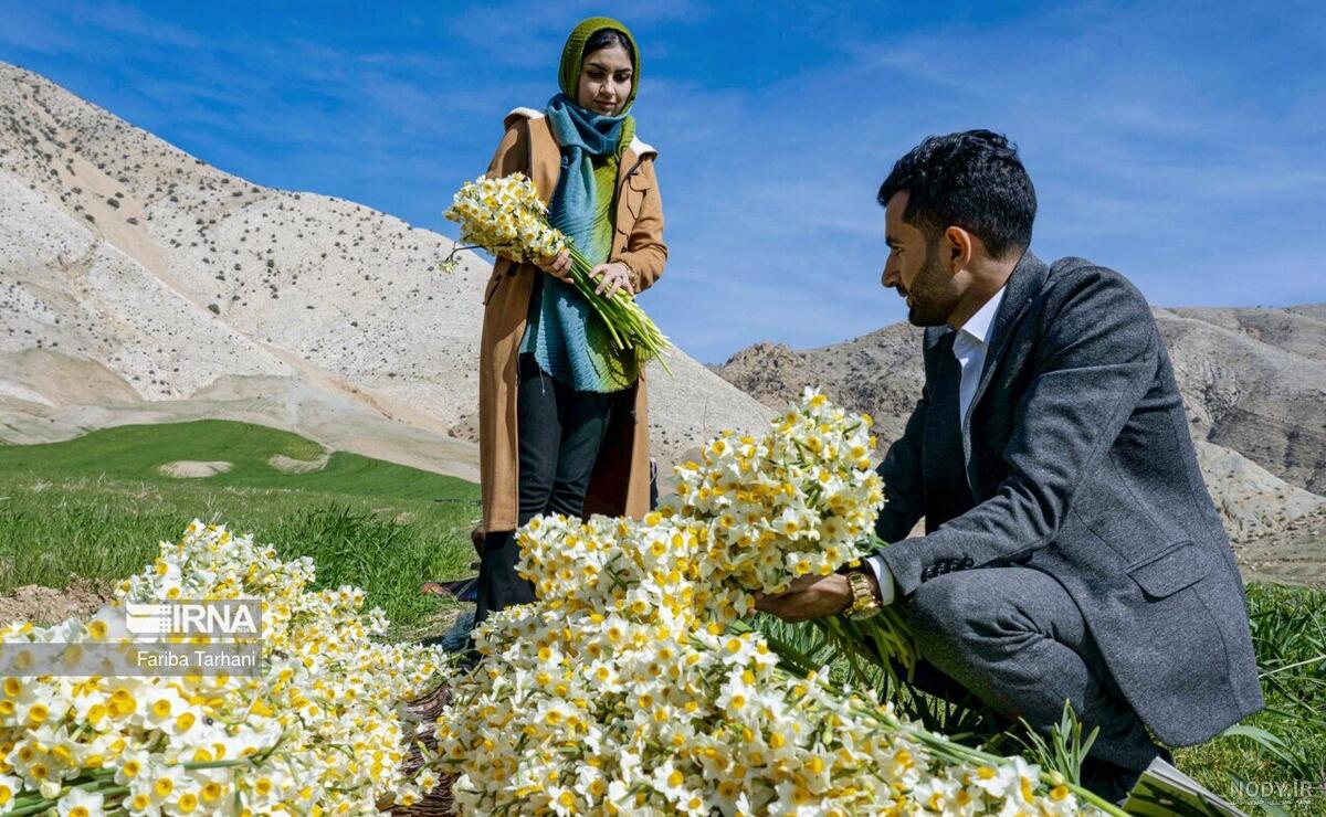 حرم امام رضا | معرفی و راهنمای بازدید + عجایب حرم امام رضا (ع) - کجارو حرم امام رضا | معرفی و راهنمای بازدید + عجایب حرم امام رضا (ع) - کجارو