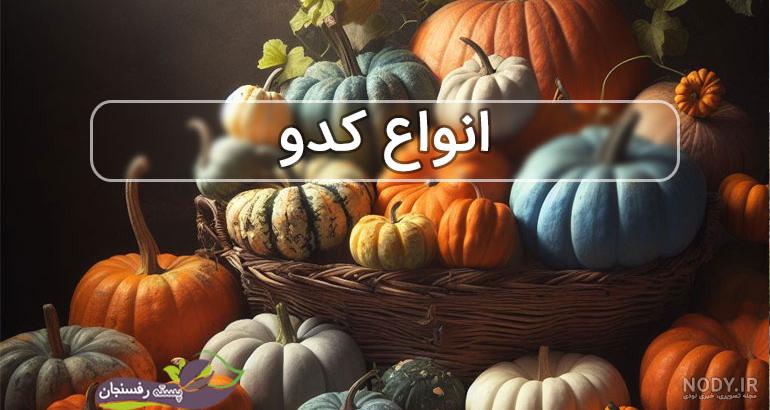 خرید اینترنتی و پستی بذر کدو حلوایی سبز خرید اینترنتی و پستی بذر کدو حلوایی سبز