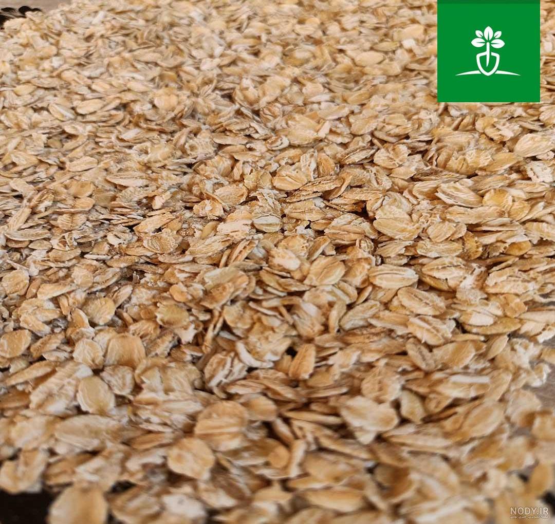 خواص فوق العاده جو دوسر (یولاف) و تفاوت آن با جو پرک خواص فوق العاده جو دوسر (یولاف) و تفاوت آن با جو پرک