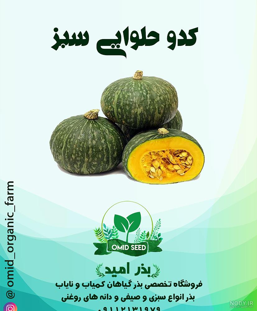 خواص کدو حلوایی برای مردان، افزایش باروری و قدرت جنسی! خواص کدو حلوایی برای مردان، افزایش باروری و قدرت جنسی!