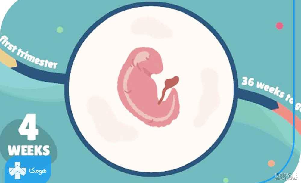 سقط جنین چجوریه؟؟؟ +عکس، کسی بدش میاد نیاد داخل تاپیک | تبادل نظر نی نی سایت
