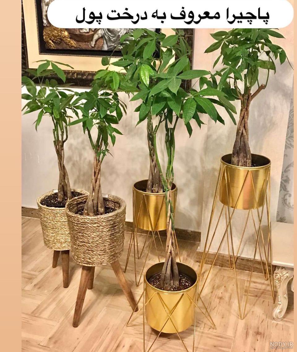 عکس های انگیزشی پول و اسکناس برای پروفایل و والپیپر افراد خاص عکس های انگیزشی پول و اسکناس برای پروفایل و والپیپر افراد خاص