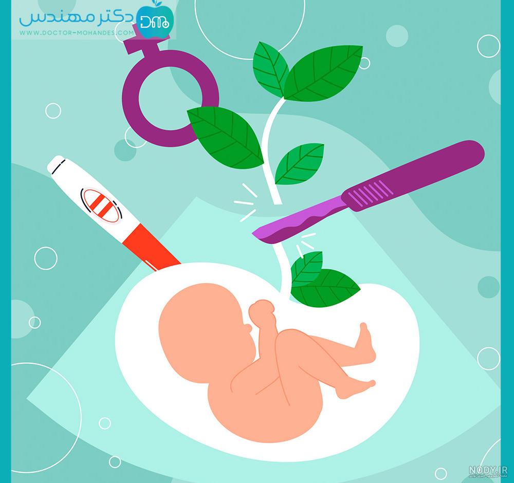 عکس جنین سقط شده در ماه اول