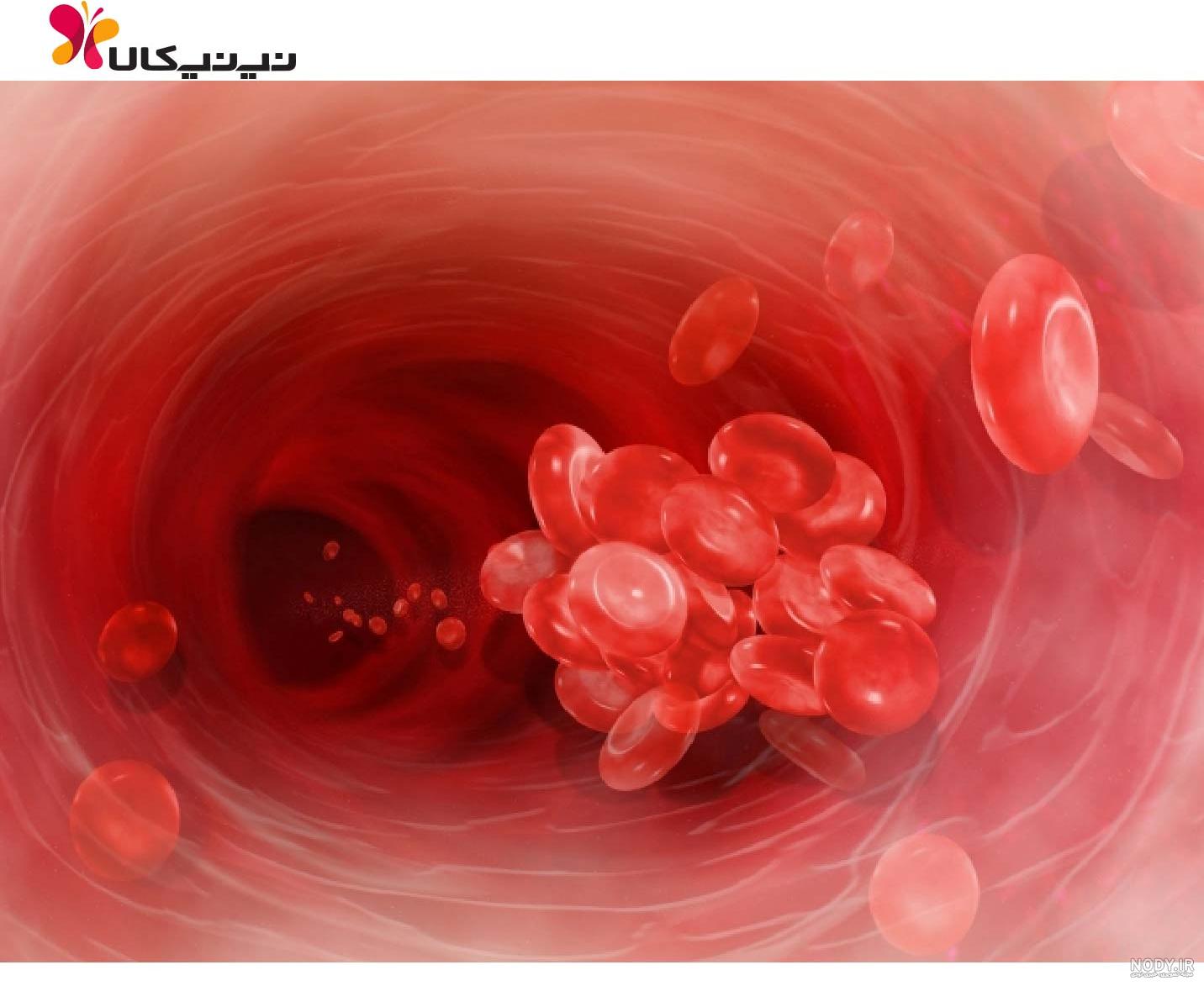 عکس جنین سقط شده در ماه اول