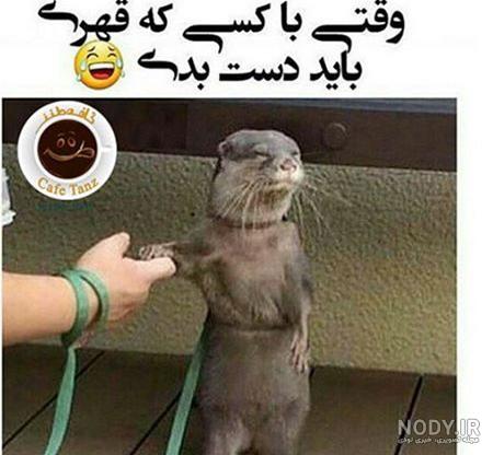 عکس خنده دار استوری و پروفایل + جملات خنده دار با حال برای اینستاگرام و  تلگرام