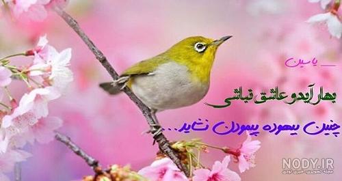 عکس نوشته اسم بهار برای پروفایل - تــــــــوپ تـــــــــاپ عکس نوشته اسم بهار برای پروفایل - تــــــــوپ تـــــــــاپ