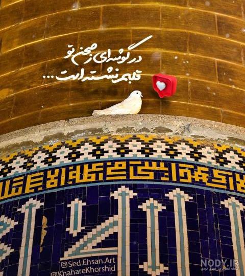 عکس نوشته کبوتر حرم امام رضا