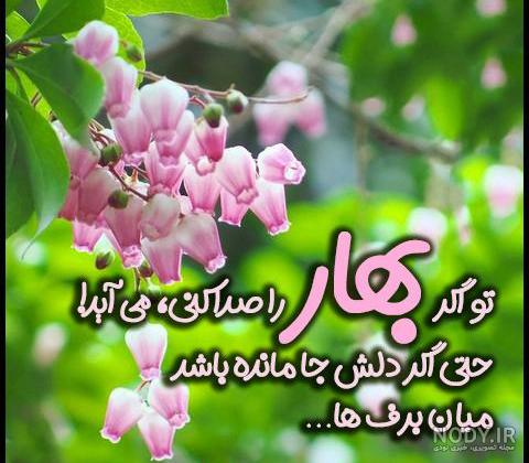 عکس پروفایل عاشقانه بهاری + پیام زیبای عاشقانه فصل بهار عکس پروفایل عاشقانه بهاری + پیام زیبای عاشقانه فصل بهار