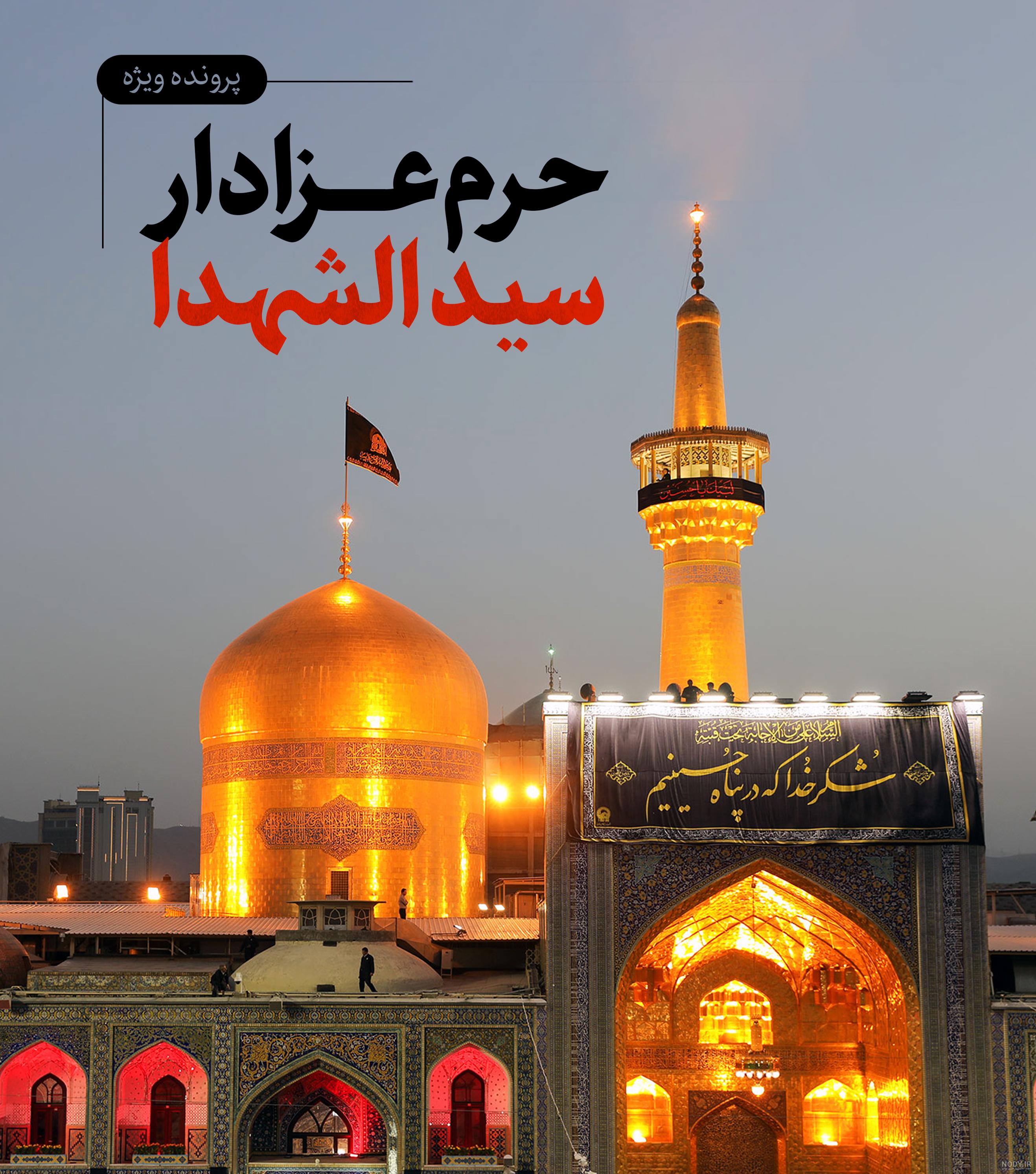 عکس گل نرگس کنار حرم - عکس نودی عکس گل نرگس کنار حرم - عکس نودی