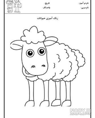 مسابقه و چالش بین حیوانات|حیوانات اهلی و وحشی|برنامه کودک حیوانات