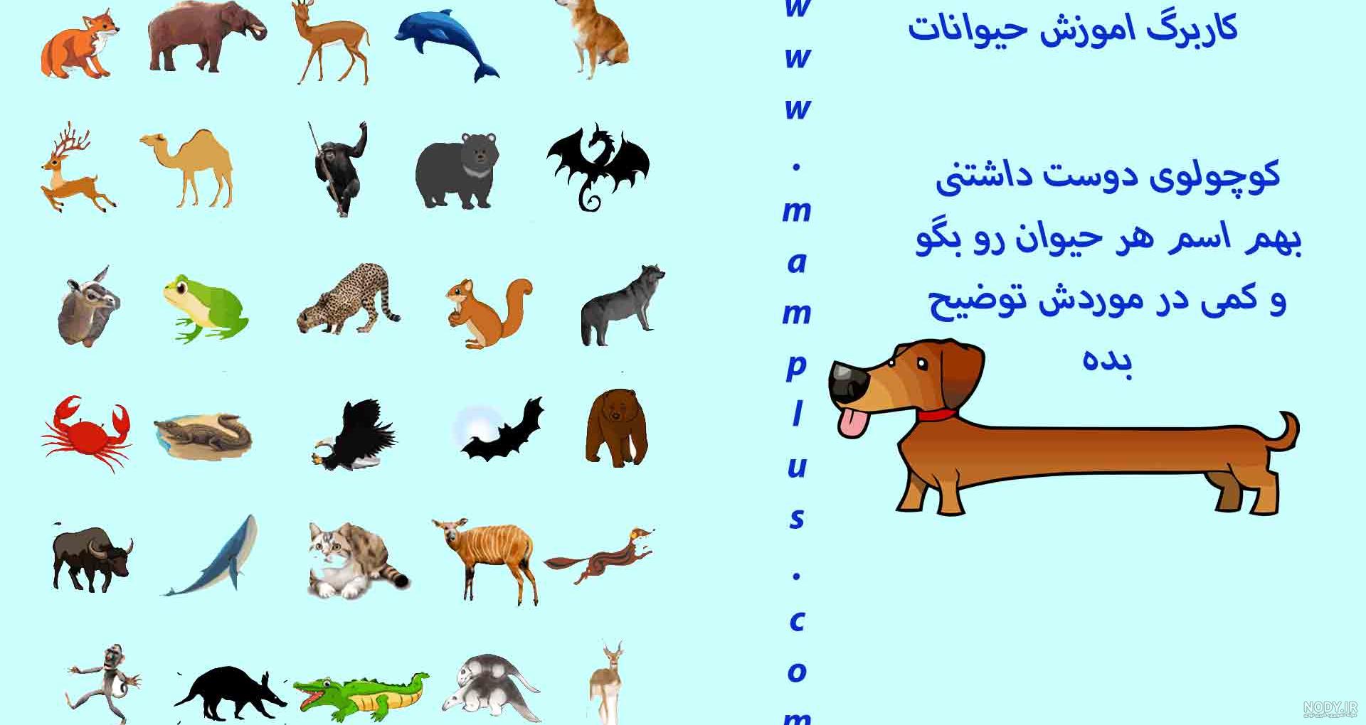 نقاشی کودکانه حیوانات جنگل اهلی و وحشی زیبا، ساده و آسان