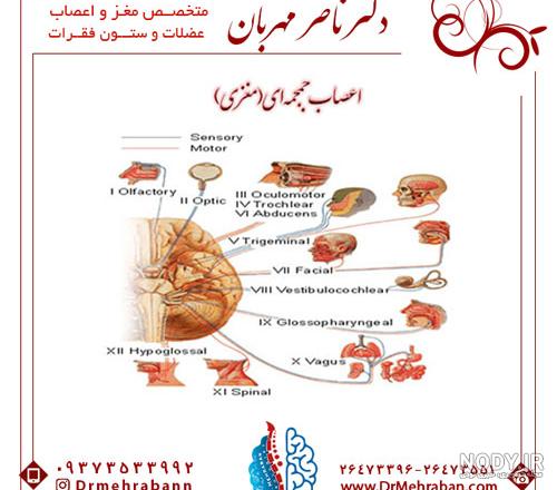هولوگرام واقعی چشم انسان با نشانگرهای پزشکی مفهوم بینایی جراحی لیزر چشم  کاتتراکت استگماتیسم چشم پزشک مدرن تصویر سه بعدی رندر سه بعدی 1583831