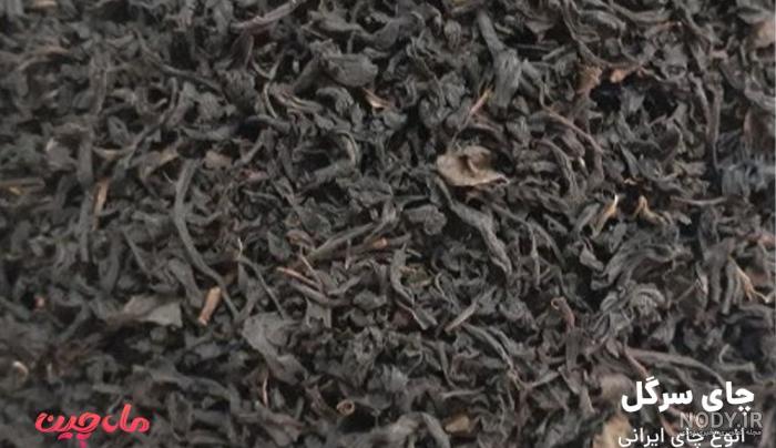 ویژگی‌های بهترین چای ایرانی + معرفی چای ایرانی خوب - کشاورز