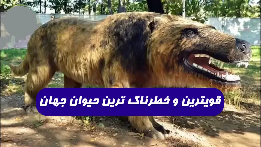 10 حیوان قوی در مقابل شیرها / جنگ و نبرد حیوانات حیات وحش