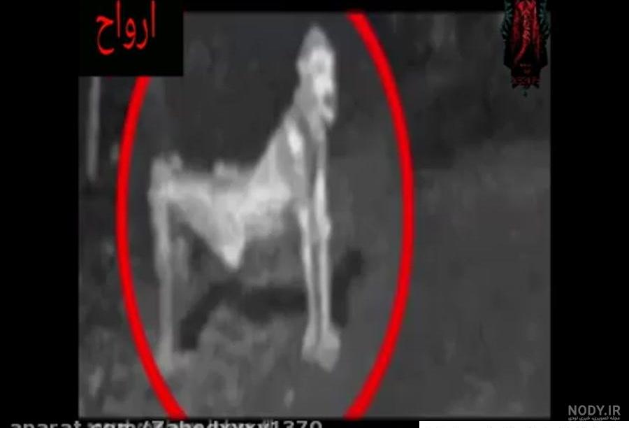 NitroGraphic.ir | عکس های ترسناک NitroGraphic.ir | عکس های ترسناک