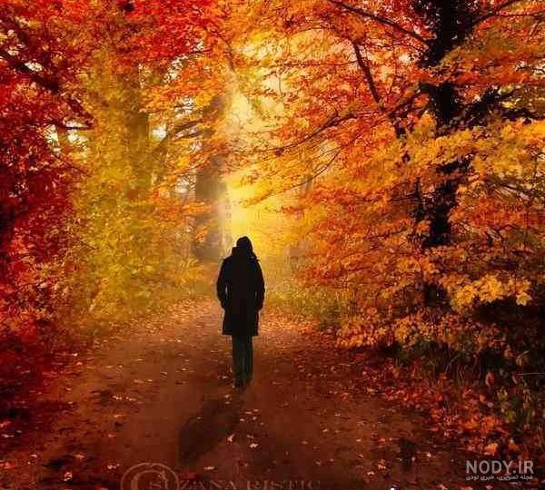 آخرین خبر | يه کلبه عاشقانه وسط جنگل آخرین خبر | يه کلبه عاشقانه وسط جنگل