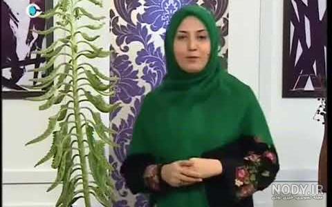 اشک تمساح» خطرناک‌ترین گریه جهان؛ چرا تمساح گریه می‌کند؟
