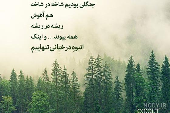 تو جنگل دختره رو میگیره و جوری ترتیبشو میده که خون ازش میاد _خلاصه فیلم تو جنگل دختره رو میگیره و جوری ترتیبشو میده که خون ازش میاد _خلاصه فیلم