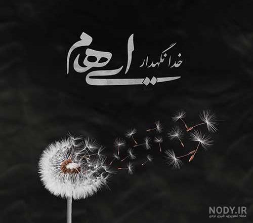 تلخ ترین عکس از خانه ابدی صدیقه کیانفر و آزاده نامداری / روحشان شاد !