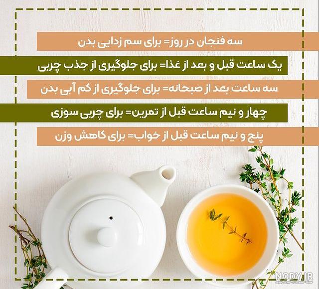 خرید دمنوش لاغری ستین | دیجی نفیس خرید دمنوش لاغری ستین | دیجی نفیس
