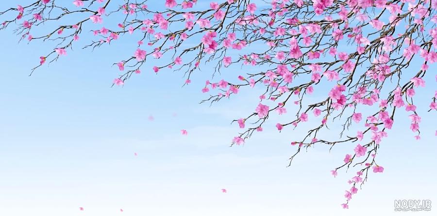 دانلود عکس تصویر زمینه بهاری دانلود عکس تصویر زمینه بهاری