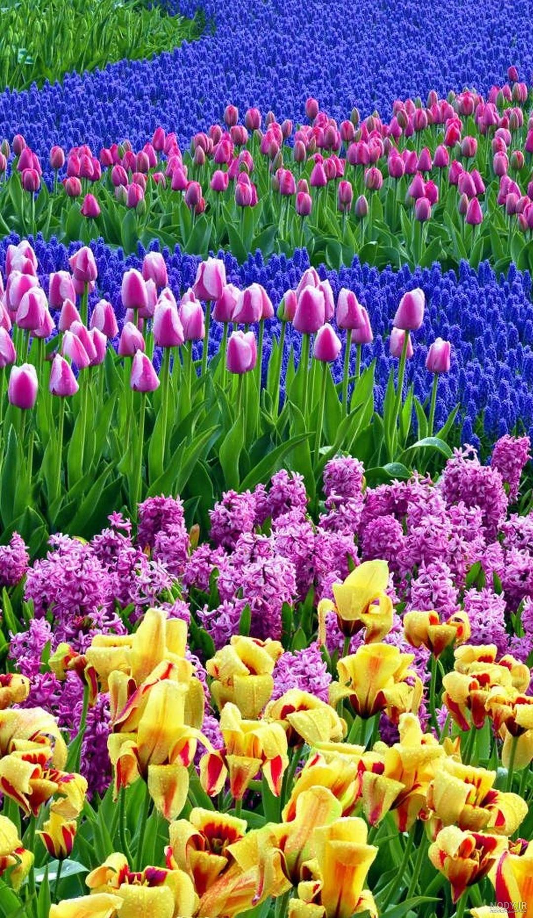 عکس تصویر زمینه بهاری دخترانه عکس تصویر زمینه بهاری دخترانه