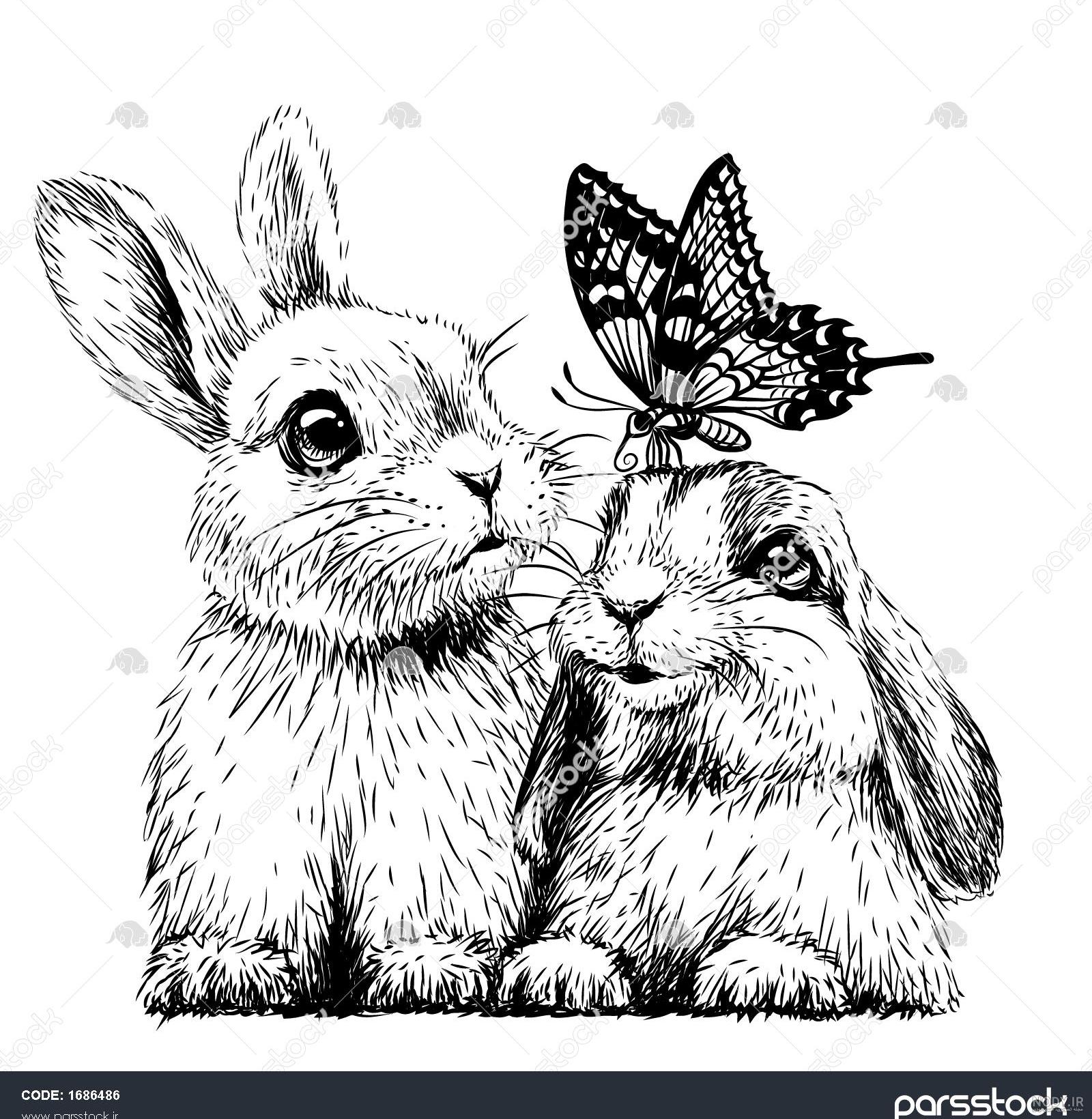 عکس خرگوش رنگی ❤️ [ بهترین تصاویر ]