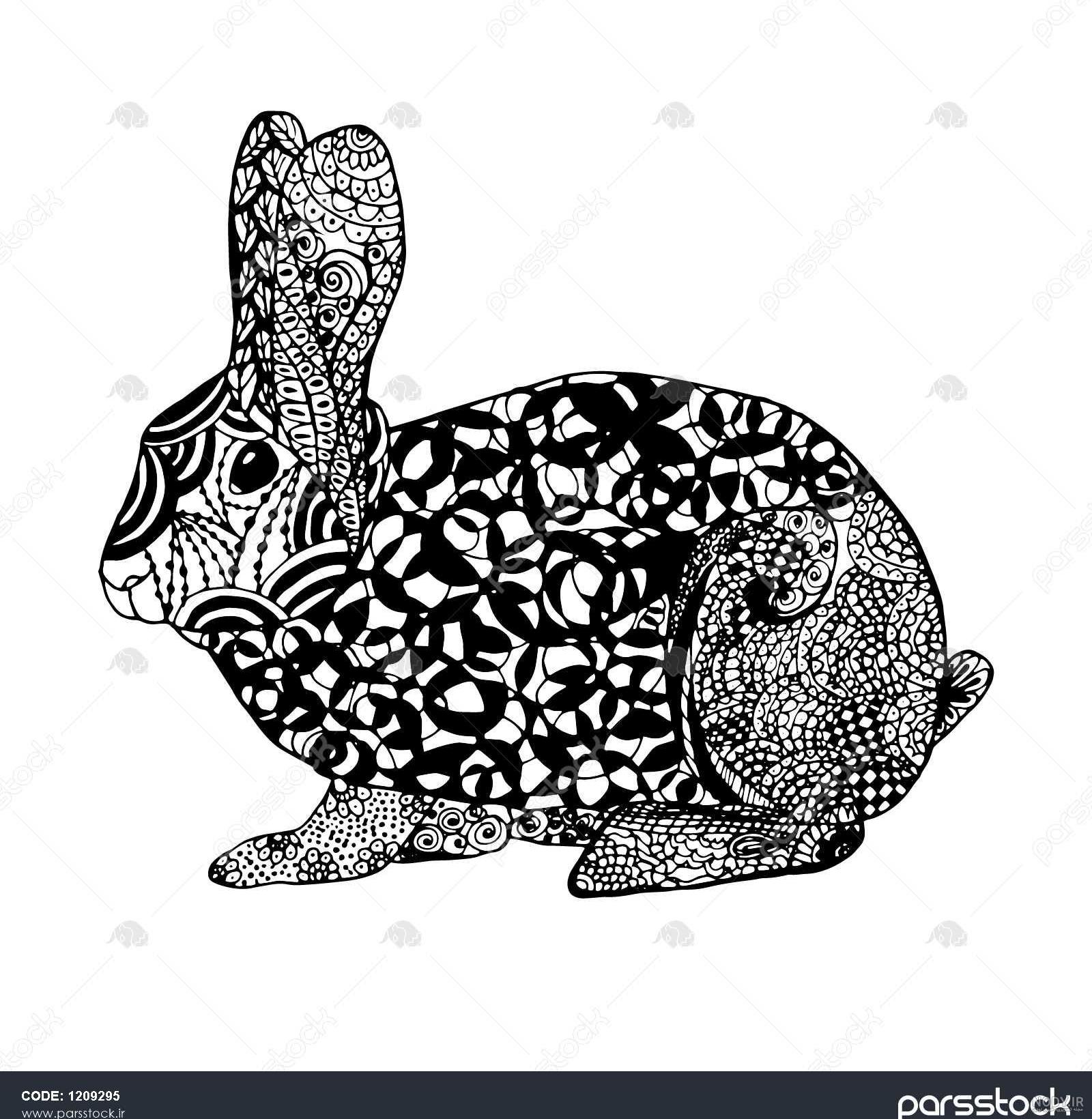 عکس خرگوش طراحی شده