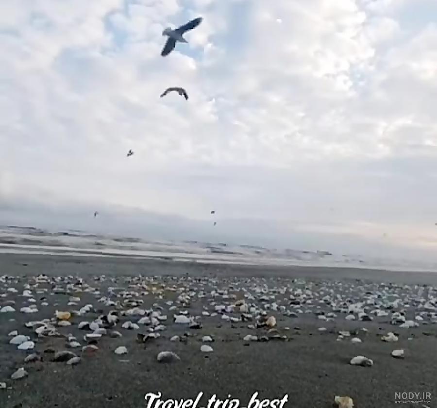 عکس دریای انزلی در شب عکس دریای انزلی در شب