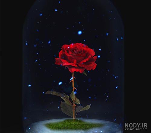 عکس زیبا خاص برای پروفایل عکس زیبا خاص برای پروفایل