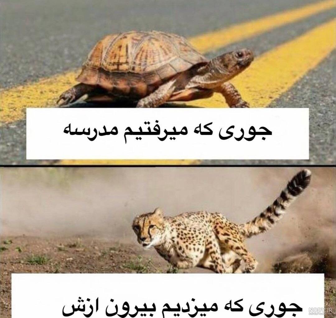 عکس) شاهکار خنده دار دانش آموزان ایرانی روی تخته کلاس کل فضای مجازی رو  ترکوند! وقتی حرف از استعداد میشه نام ایران و ایرانی میدرخشه😅