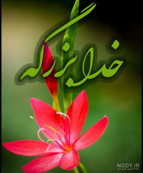 عکس صورت خدا واقعی - عکس نودی عکس صورت خدا واقعی - عکس نودی
